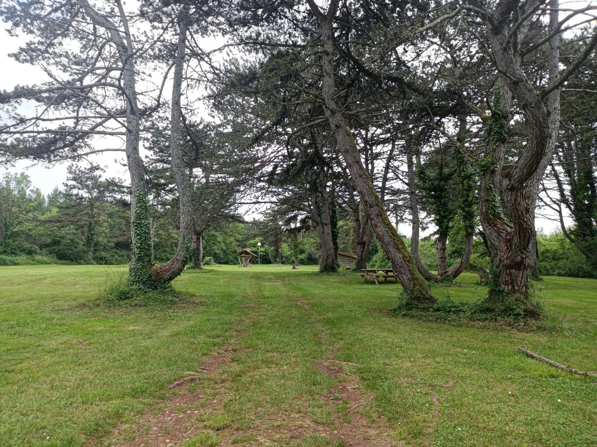 Gite De La Fontaine Villa Venarey-les-Laumes Eksteriør bilde